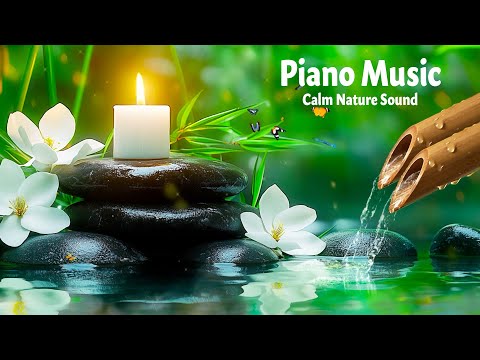Flowing Water & Bamboo & Piano | Soothing Sounds for Meditation, Mindfulness and Restful Sleep