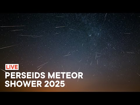 Perseids Meteor Shower 2025 Live from UK [4K]