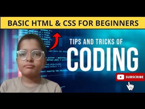 HTML & CSS Basics: Essential Overview for Beginners!