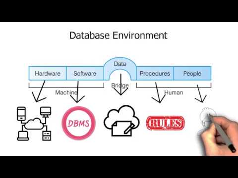 Introduction to Database and Database Environment Part 2