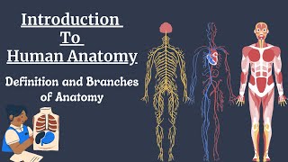 Anatomy Definition and Branches of Anatomy | General Anatomy