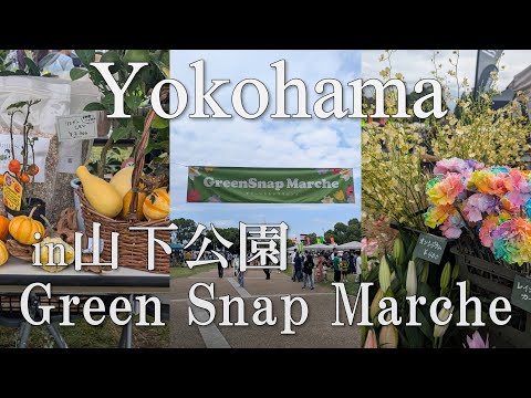 【横浜散歩】全国から集まる人気植物店🪴グリーンスナップマルシェ｜秋初開催