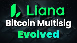Master Bitcoin Security 🔒 with Liana Timelock Technology