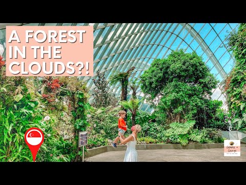 Gardens by the Bay and Cloud Forest Tour | Singapore with Kids | Family Travel Vlog