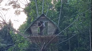 Village Girl making beautiful Tree House near River#survival#nature#girlbuildingbushcraftlife