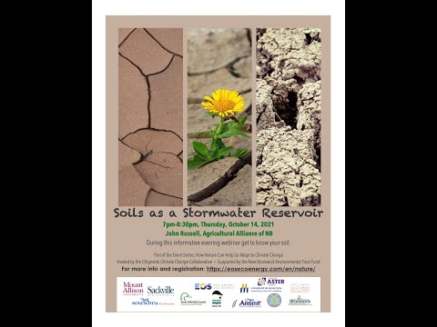 Soil as a Stormwater Reservoir