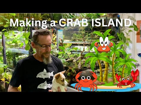 Making my CRAB ISLAND Tank