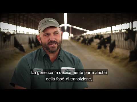 CLARIFIDE Plus - Mash Up Testimonial Video