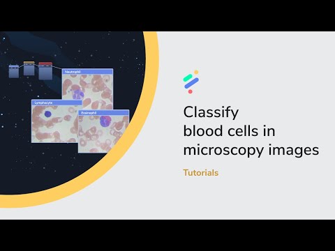 PerceptiLabs: Classify blood cells in microscopy images
