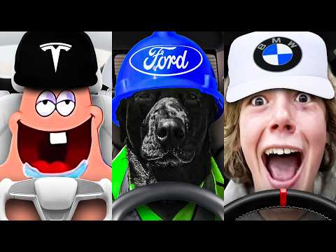 your car brand stereotypes...