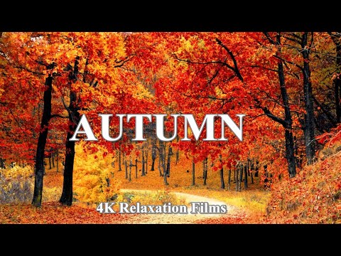 4K Enchanting Autumn Scenery with Relaxing Piano Music - Fall Foliage & Autumn Ambience