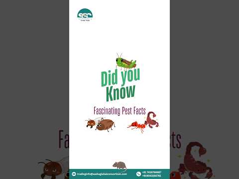 Did you know these crazy pest facts❓🤔