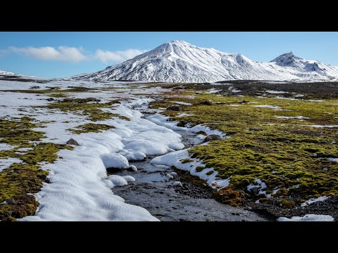 Relaxing Piano Music - Beautiful Relaxing Music, Sleep Music, Stress Relief Music