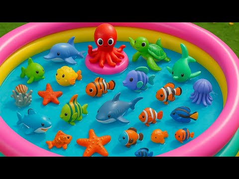 Learn Sea Animal Names and Facts with Fun Toys | Water Animal Videos for Preschool