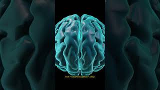 Robots Can Now Smell! | अब रोबोट को भी सूंघने की शक्ति मिल गई है!