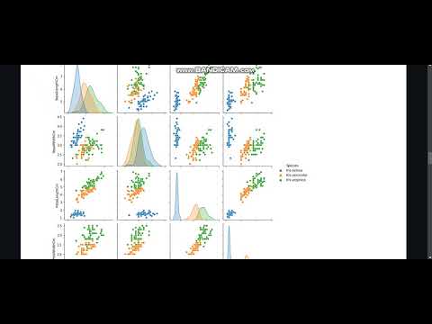 The Sparks Foundation Task-2