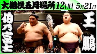 大相撲　伯乃富士ー王鵬＜令和８年五月場所・１２日目＞SUMO