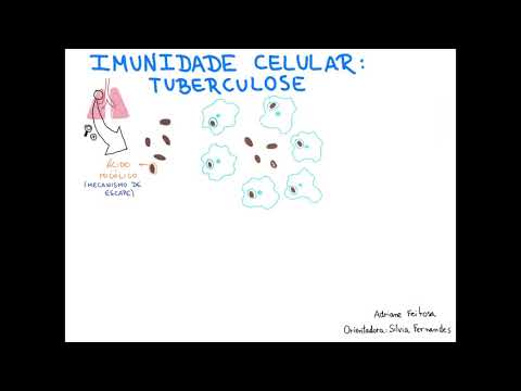 Imunidade Celular: Tuberculose (parte 1)