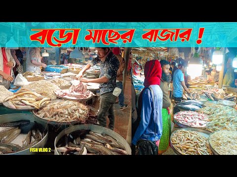 বরিশালের এই মাছের বাজারে কি কি মাছ পাওয়া যায় ||Big Fish Bazar and market in Bangladesh. #fish #vlog