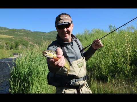 PARK CITY FISHING TRIP PART 2 (PROVO/ WEBER RIVER)