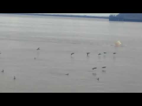 20180501_162701.mp4