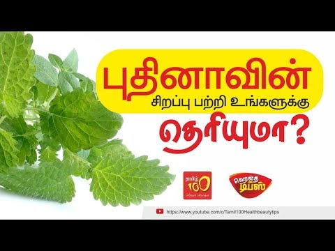 புதினாவின் சிறப்பு பற்றி தெரியுமா _ ( Do you know the specialty of mint? ) Tamil health tips