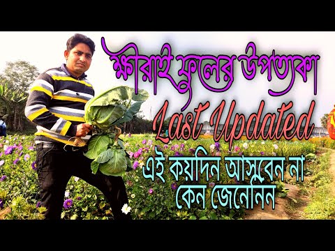 Khirai Flower Garden Flower Valley // খিরাই ফুলের উপত্যকা ।। Last Updated // Lockdown 10Days Khirai