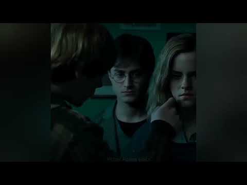 Bro be like: You take my sister, I'll take yours!😂 | The way bro looks at Ron 💀| #harrypotter