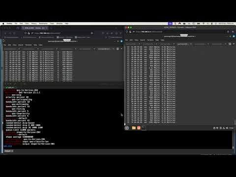 CCIE QoS: Measuring Network Performance with iperf3 on Cisco C8000V