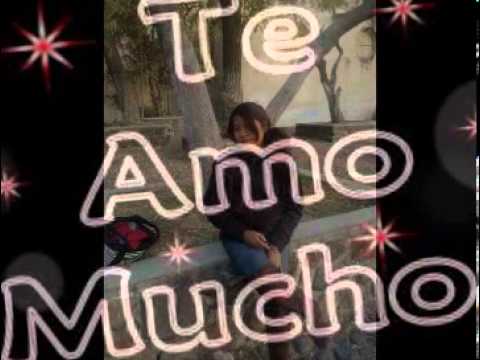 QUISAS TE REGALE UNA ROSA