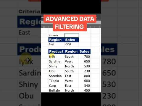 How to apply Data  filter in EXCEL | Advanced Data Filtering
