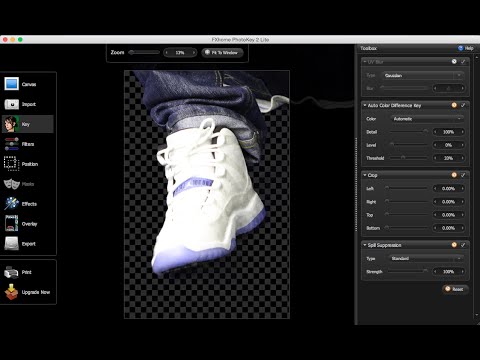 How To Take Portraits With Any Background Using Green Screen And FX Home Software
