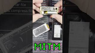 Raspberyy Pi Project Bjorn, Pwnagotchi