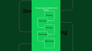 Tuckman Model Explained in 60 Seconds