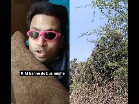 PM 😀😀😀#shorts #funny