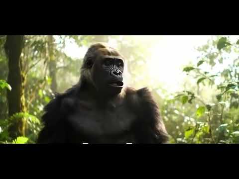 first gorilla amazing video #youtube #facebook #instagram #tiktok #shortsvideo 