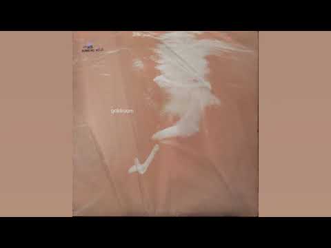 Goldroom - Running Wild (feat. Nikki Segal) [Official Audio]
