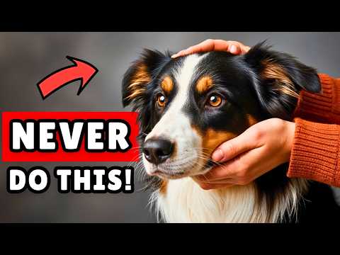 20 Things You Do That HURT Your Dog (Without Knowing)