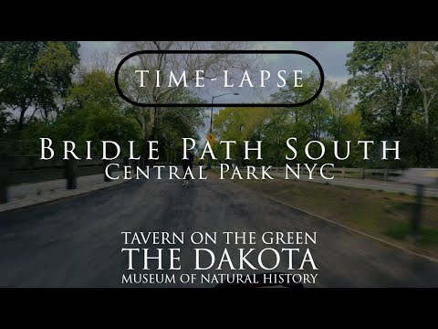 VIRTUAL RUN  Time Lapse  Bridle Path, Tavern on the Green, Natural History Museum (4K 60 FPS)