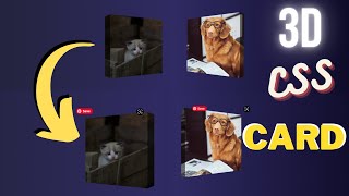 css card design:-  3d card hover 😍😍 #css #html #csscard