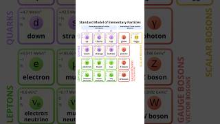 what is the standard model of particle physics? #physics #quantumphysics #particlephysics #science
