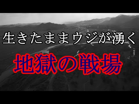 ［ゆっくり解説］インパールと白骨街道