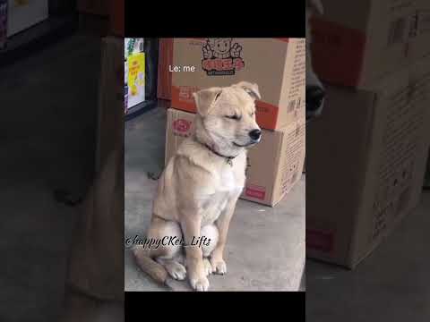 #viral #trendingsongs #viralreels #trending #viralvideos #viralaudio #gymmotivation #gymemeb#trend