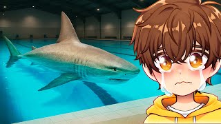 THERE'S A SHARK IN MY POOL