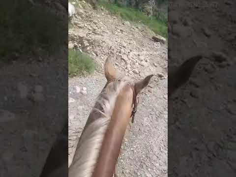 Bandido cruzaando rio