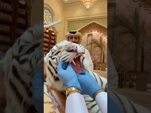 This Might Be the Most Fearless Dentist in the World. 😳
