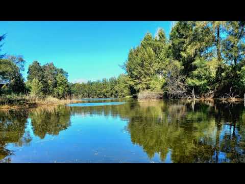 That One Bit of Improv That Sounds Decent