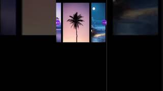 HTML CSS Image Gallery with Smooth Scroll | #short #programming #YouTube