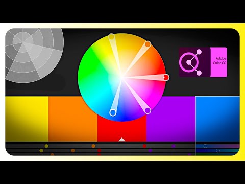 Designing with Intention: Exploring Color Wheels and Adobe Color