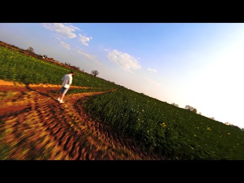 Here is why I love FPV 🦅 #shorts